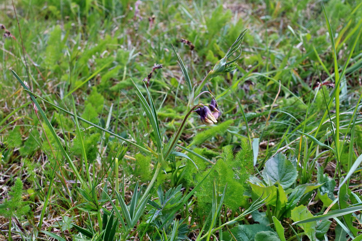 IMG-2016-05-05-00013663p_Bildgr��e �ndern