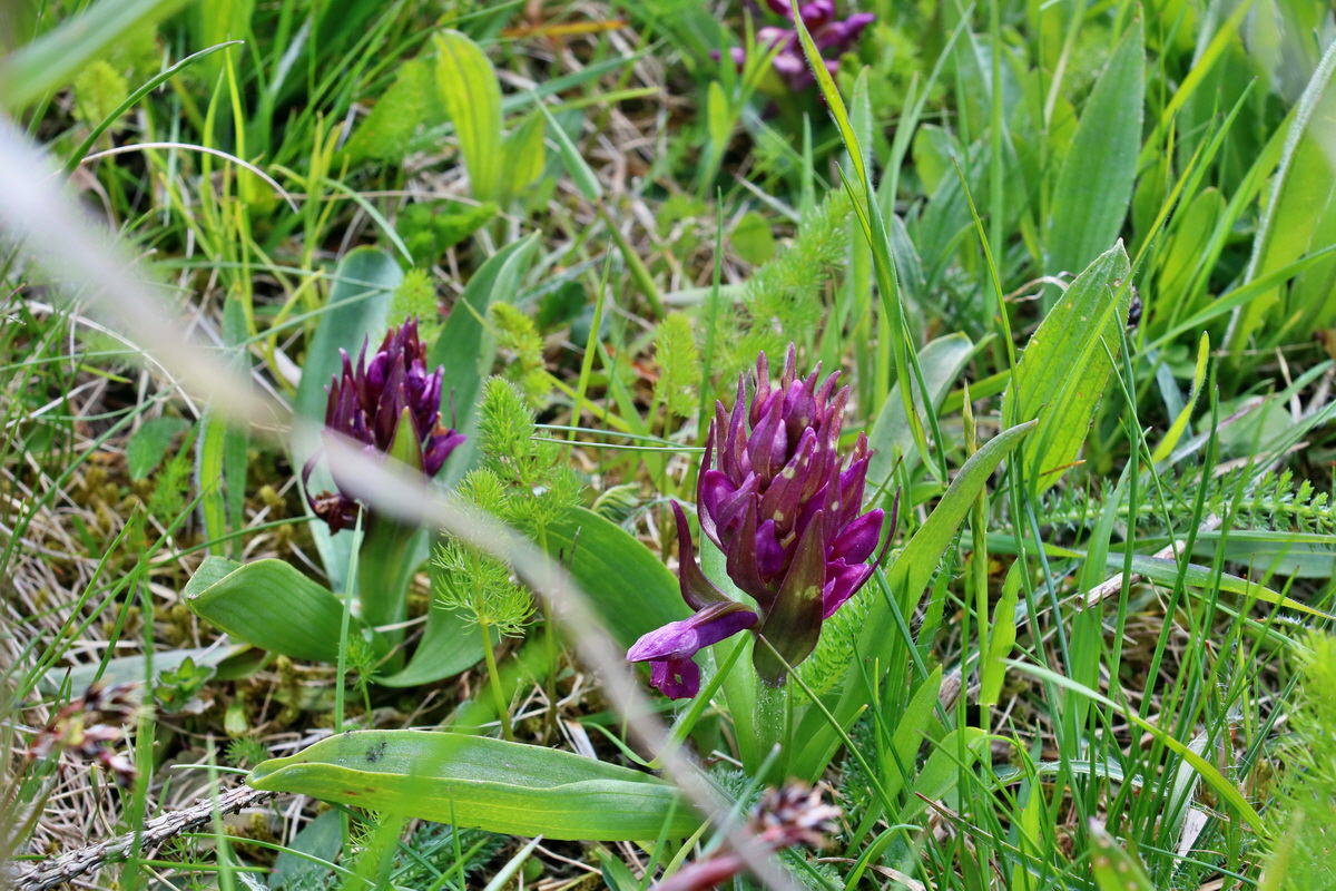 IMG-2016-05-05-00013665p_Bildgr��e �ndern