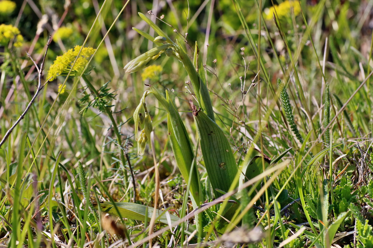 IMG-2016-05-05-00013672p_Bildgr��e �ndern