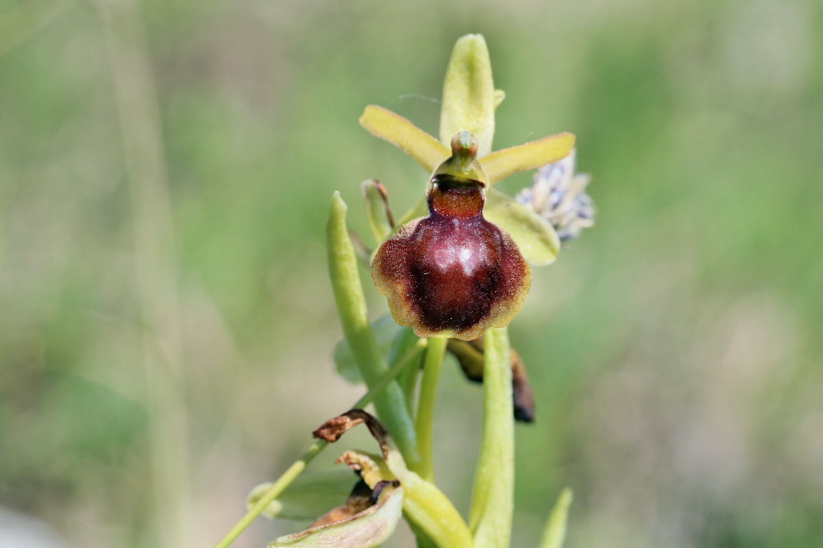 IMG-2016-05-05-00013674p_Bildgr��e �ndern