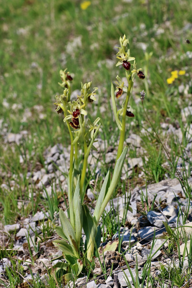 IMG-2016-05-05-00013685p_Bildgr��e �ndern