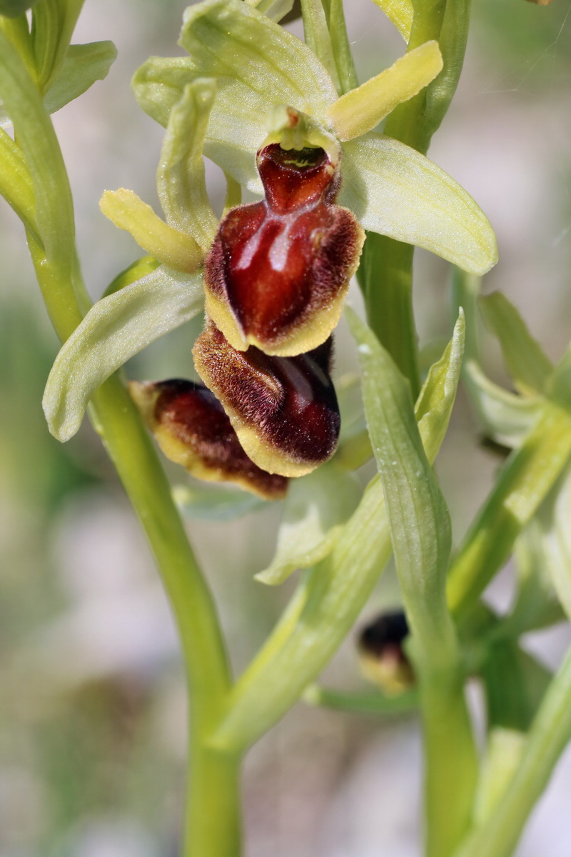 IMG-2016-05-05-00013689p_Bildgr��e �ndern