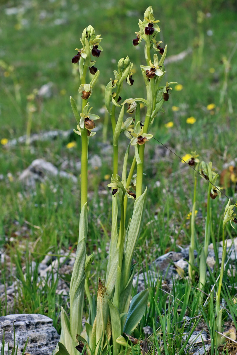 IMG-2016-05-05-00013694p_Bildgr��e �ndern