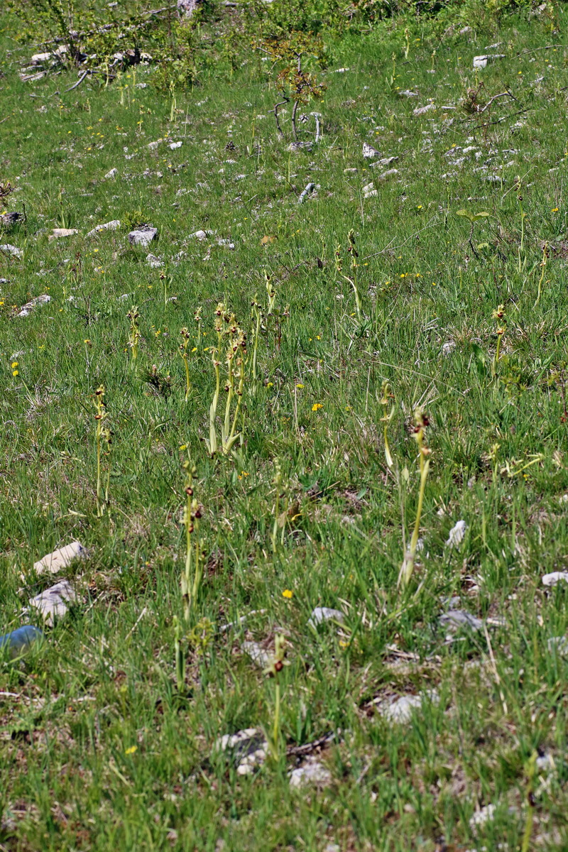 IMG-2016-05-05-00013718p_Bildgr��e �ndern