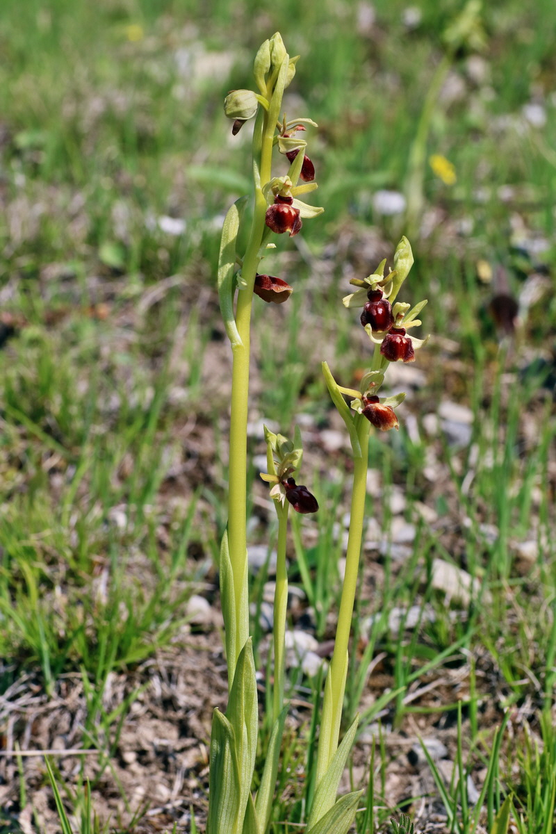 IMG-2016-05-05-00013722p_Bildgr��e �ndern