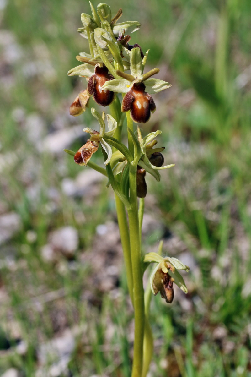 IMG-2016-05-05-00013729p_Bildgr��e �ndern