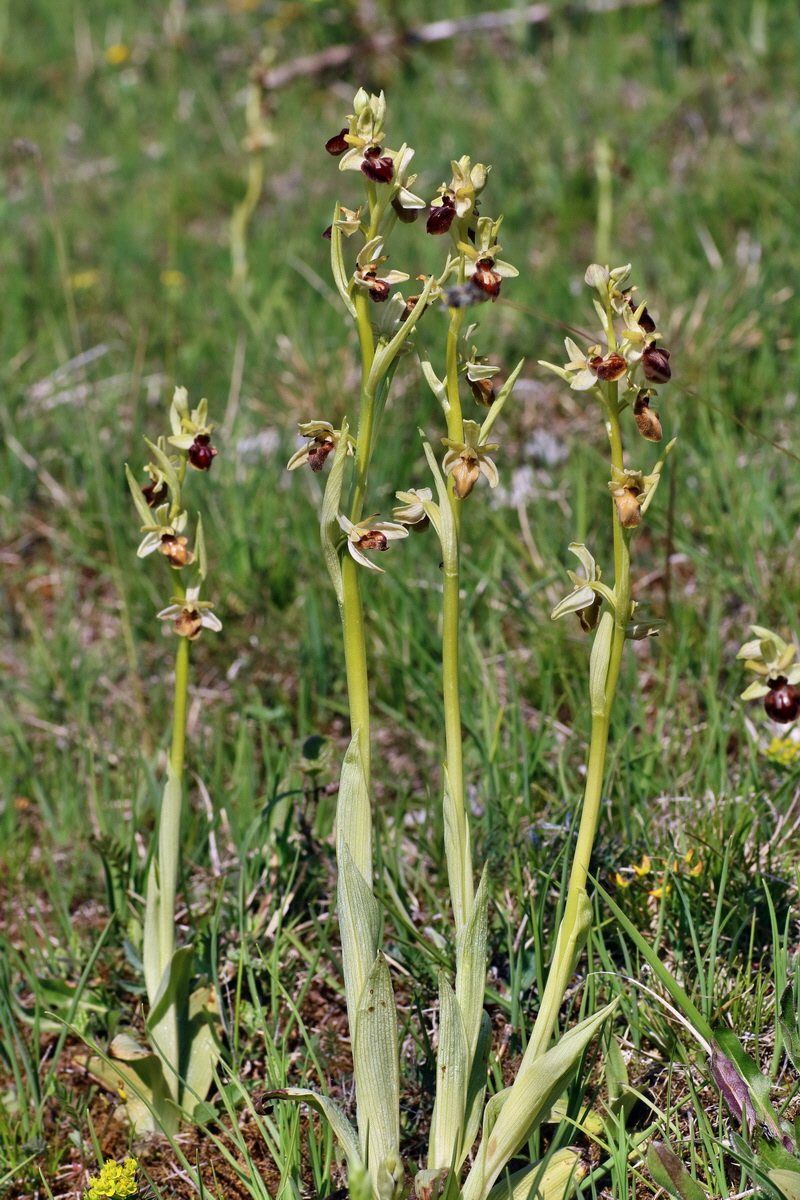 IMG-2016-05-05-00013733p_Bildgr��e �ndern