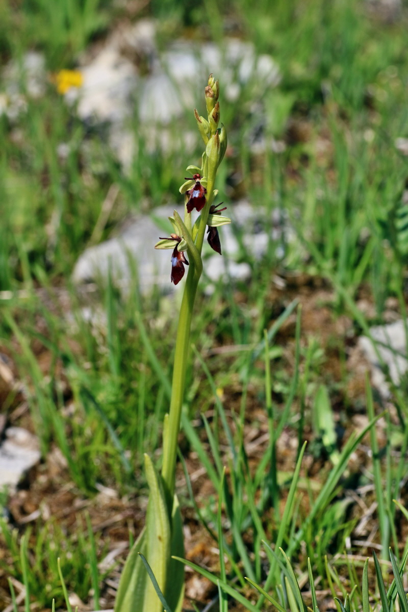 IMG-2016-05-05-00013737p_Bildgr��e �ndern