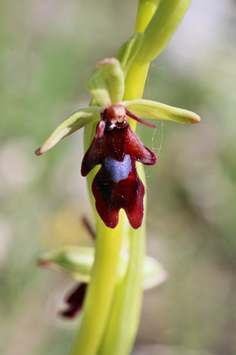 IMG-2016-05-05-00013743p_Bildgr��e �ndern