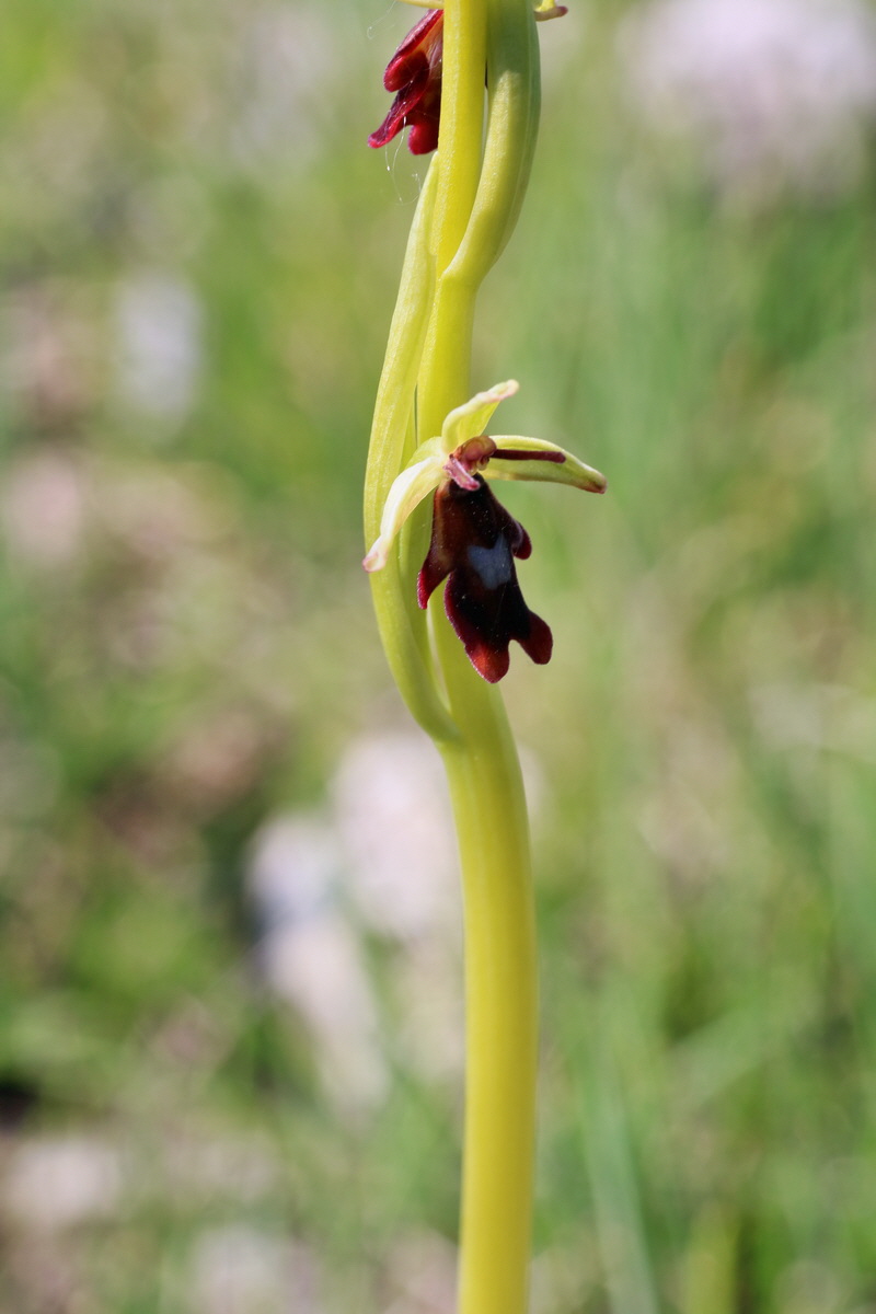 IMG-2016-05-05-00013749p_Bildgr��e �ndern