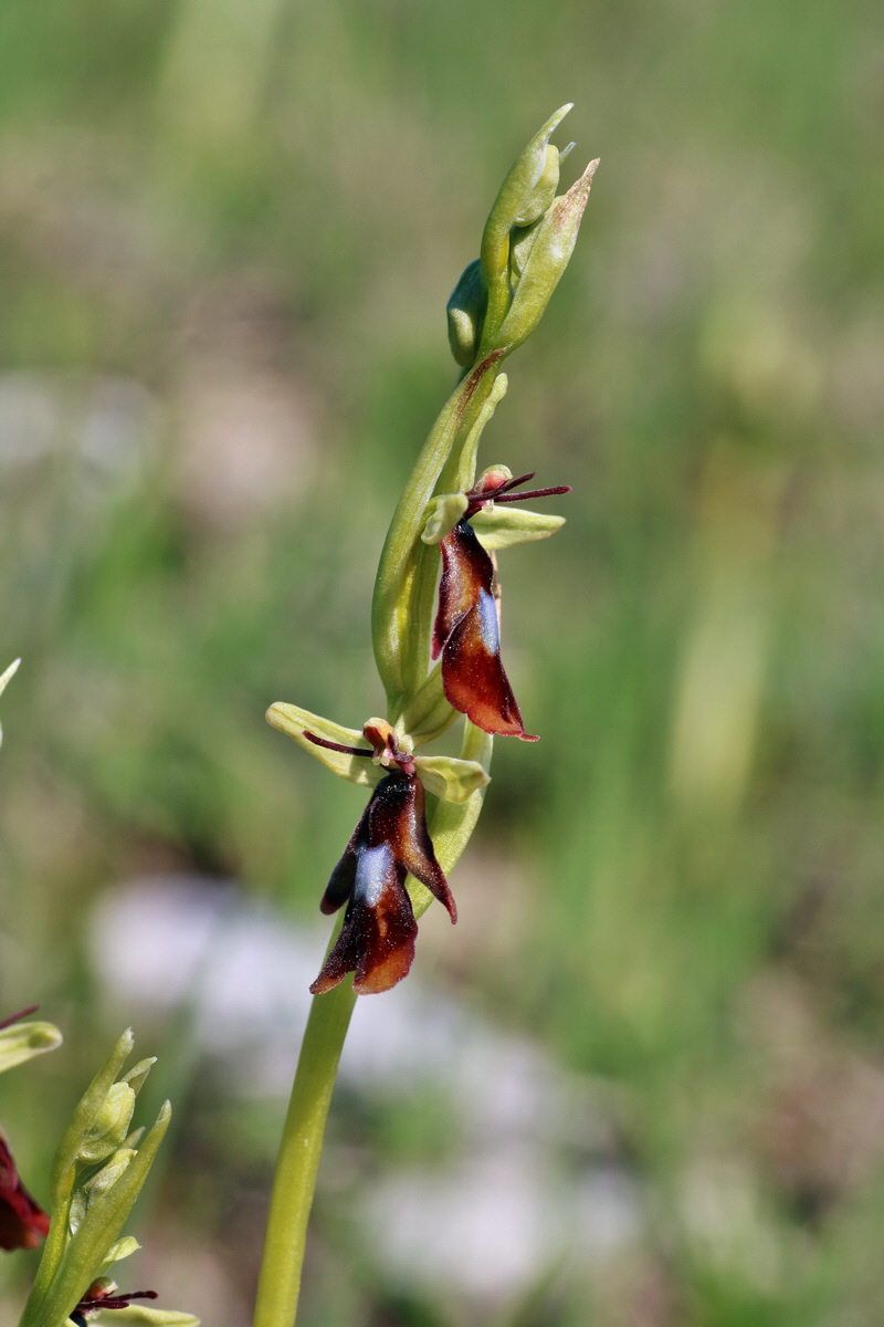 IMG-2016-05-05-00013753p_Bildgr��e �ndern