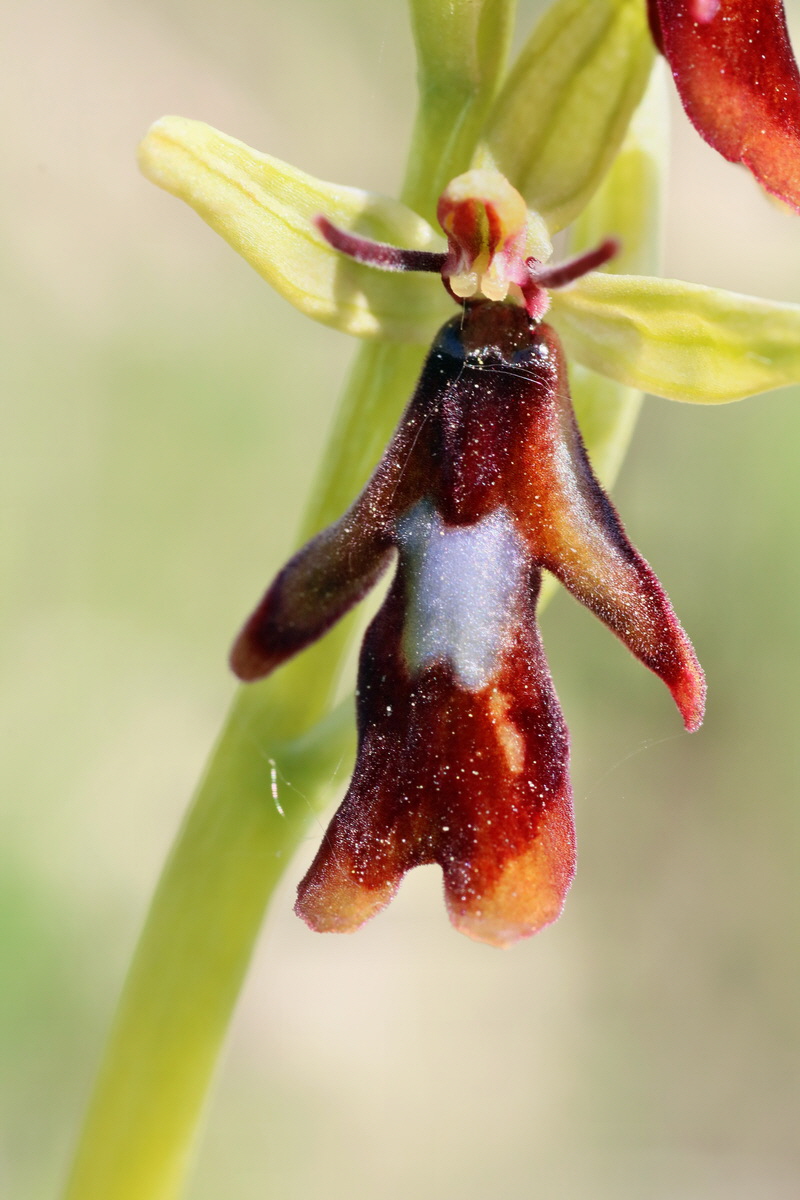 IMG-2016-05-05-00013756p_Bildgr��e �ndern