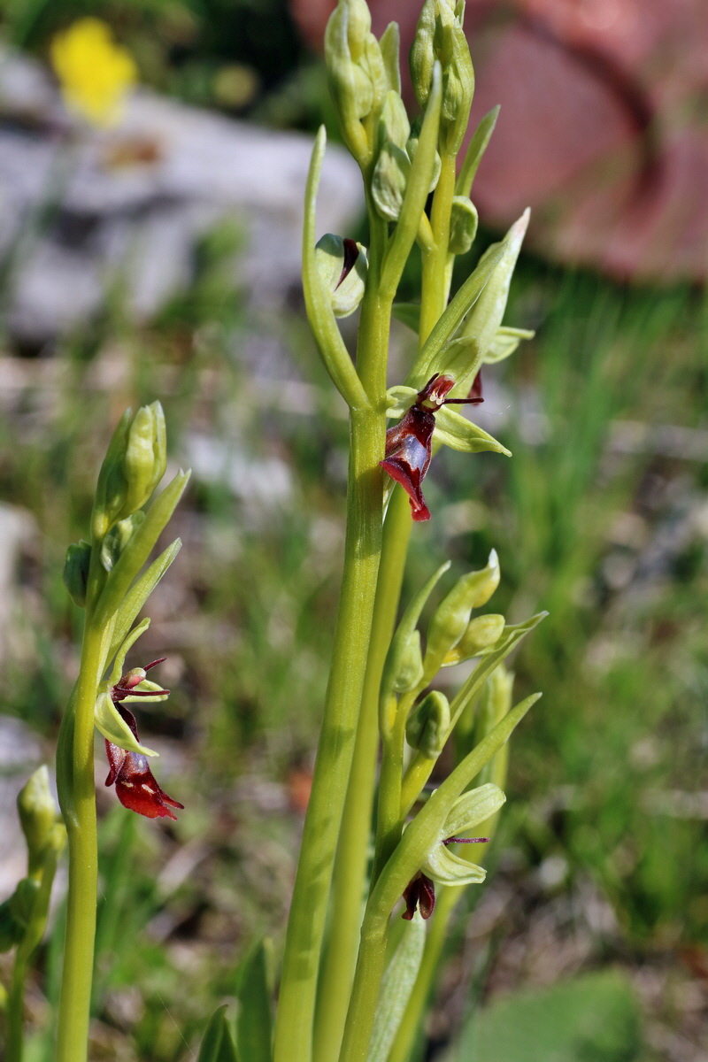 IMG-2016-05-05-00013766p_Bildgr��e �ndern