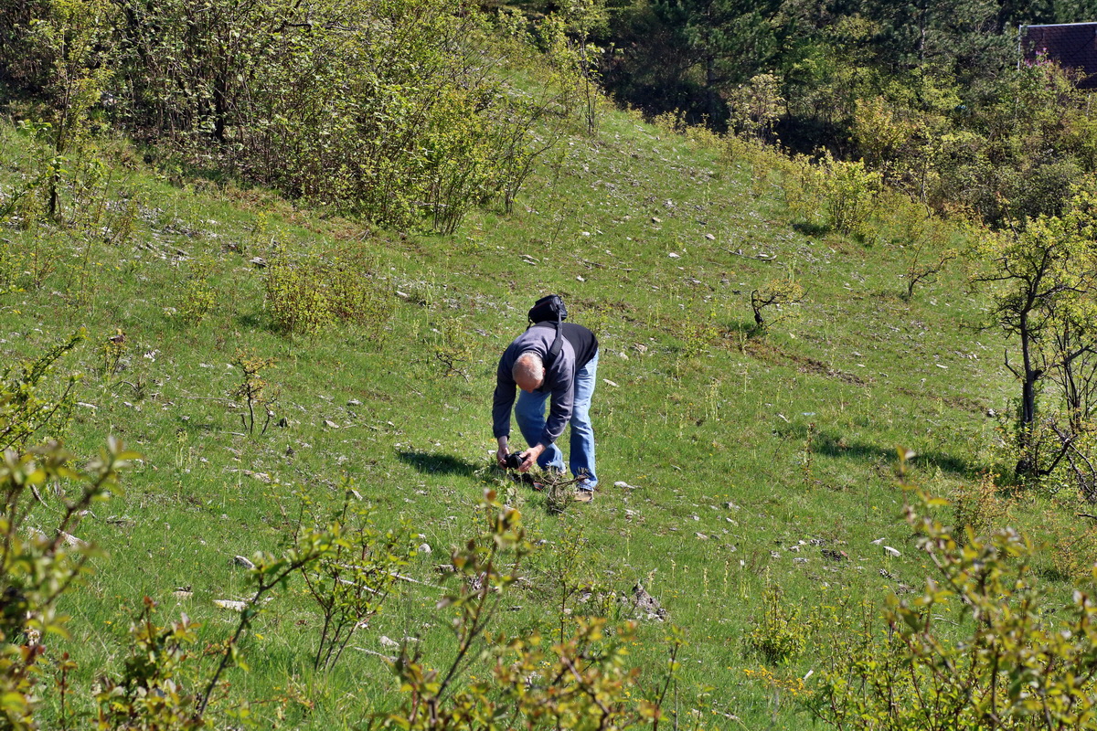 IMG-2016-05-05-00013776p_Bildgr��e �ndern