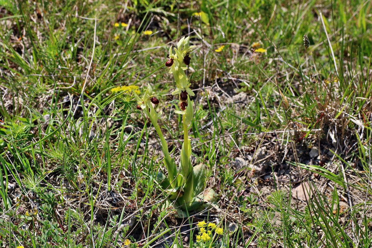 IMG-2016-05-05-00013785p_Bildgr��e �ndern