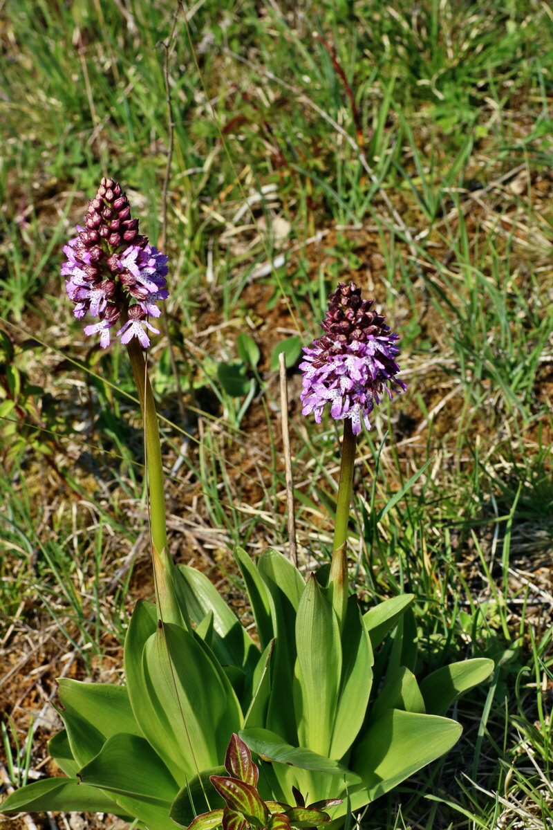 IMG-2016-05-05-00013788p_Bildgr��e �ndern