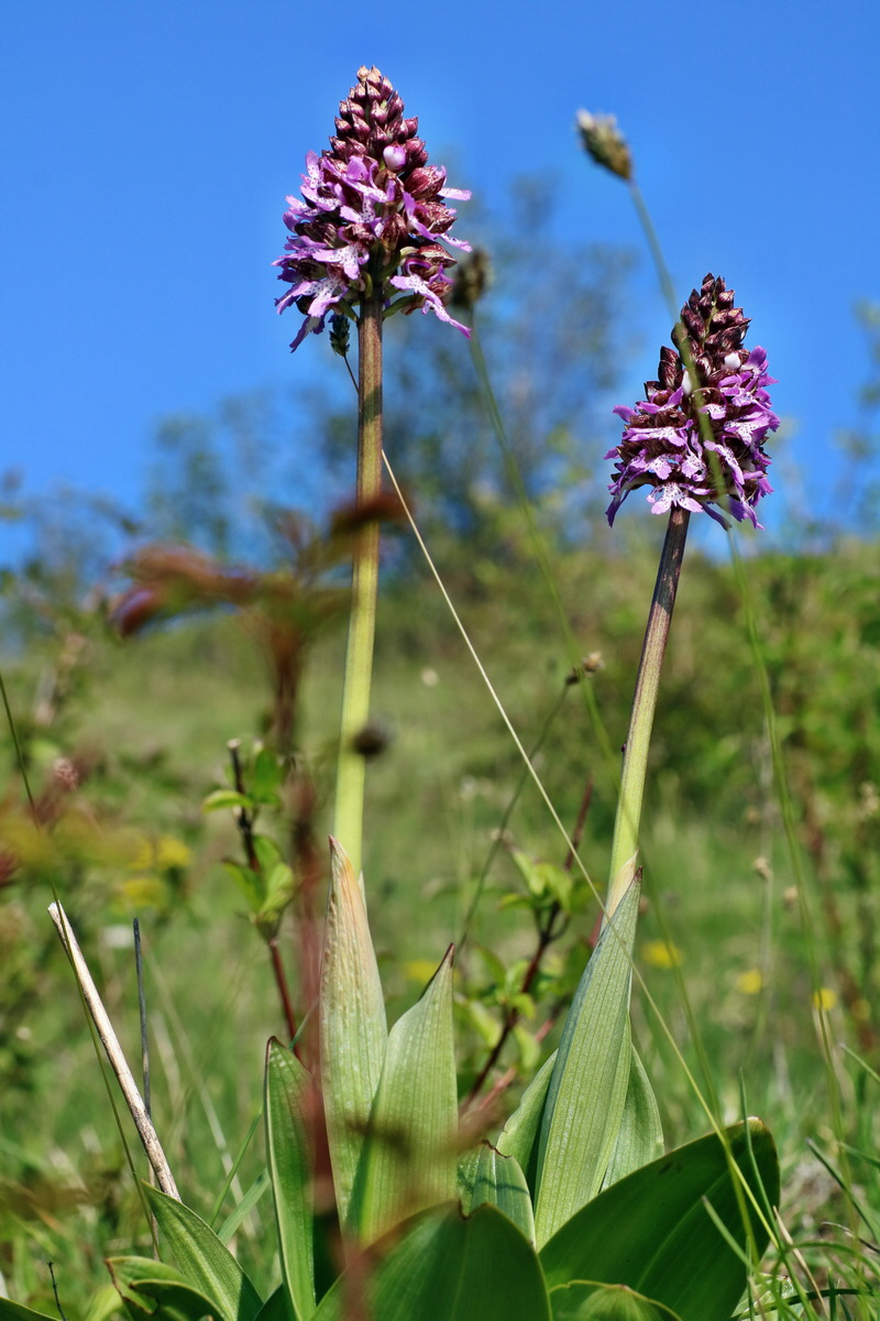 IMG-2016-05-05-00013793p_Bildgr��e �ndern