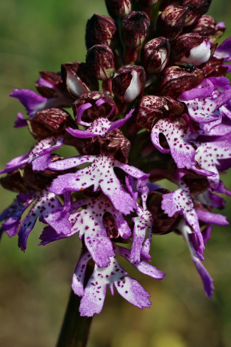 IMG-2016-05-05-00013818p_Bildgr��e �ndern