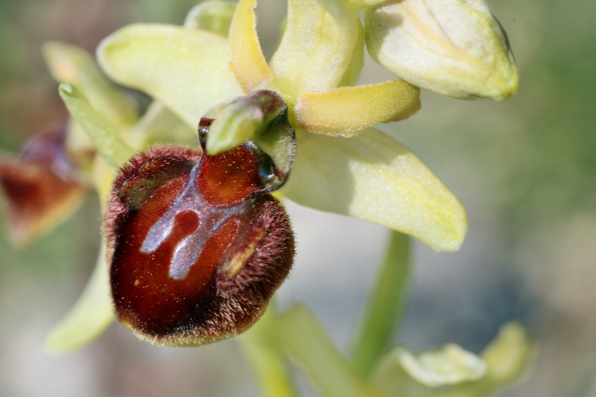 IMG-2016-05-05-00013823p_Bildgr��e �ndern