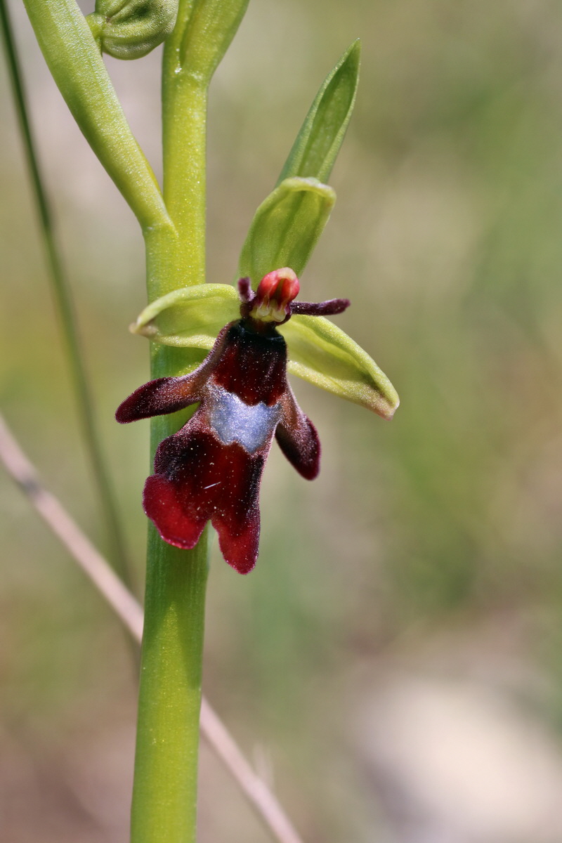 IMG-2016-05-05-00013824p_Bildgr��e �ndern