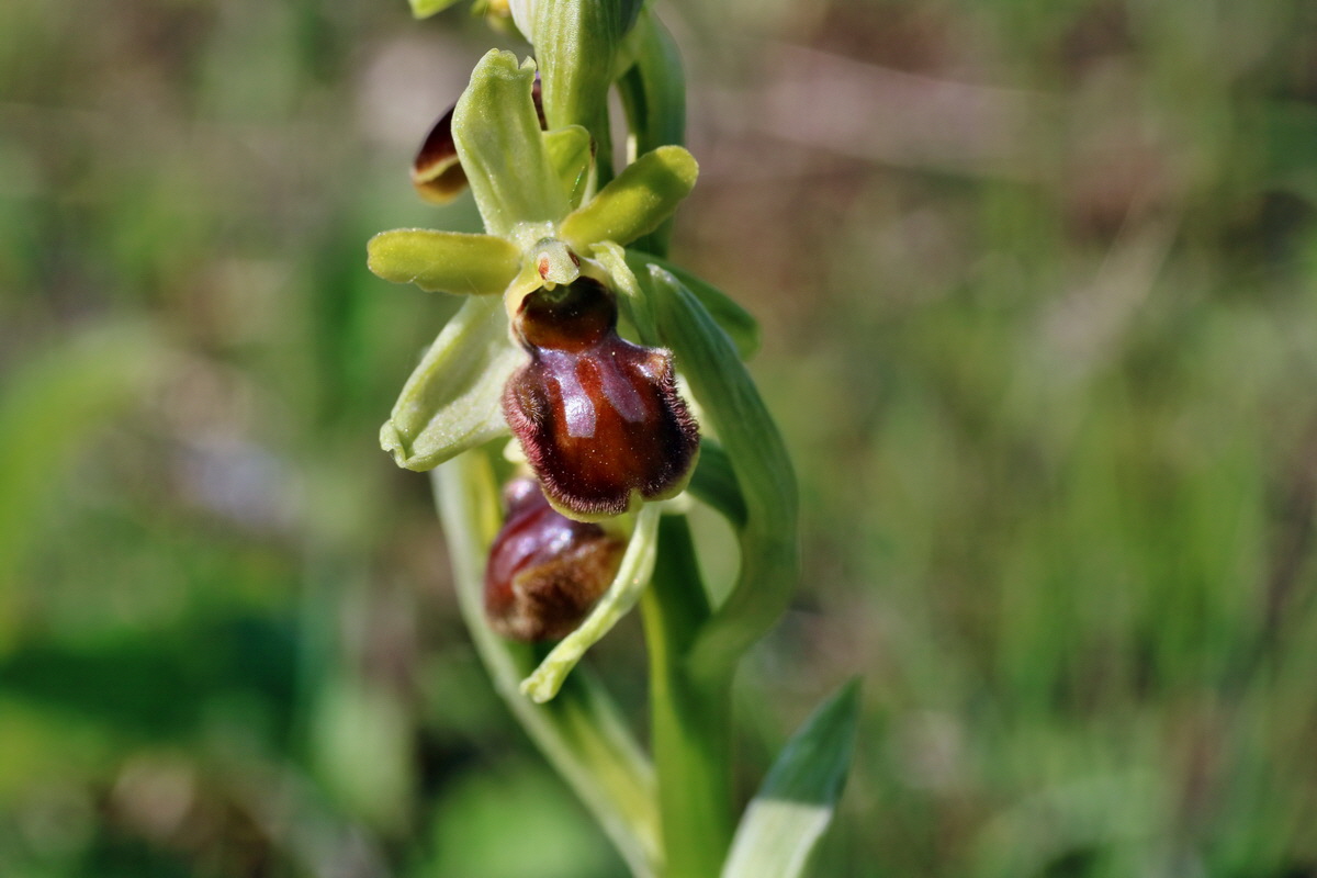 IMG-2016-05-05-00013829p_Bildgr��e �ndern