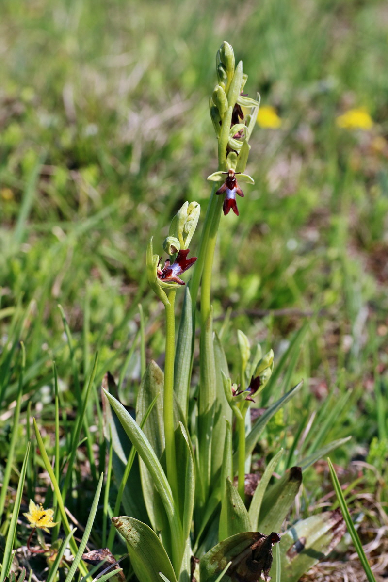 IMG-2016-05-05-00013831p_Bildgr��e �ndern