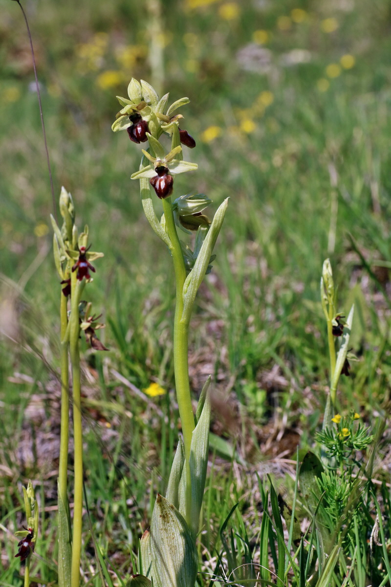 IMG-2016-05-05-00013887p_Bildgr��e �ndern