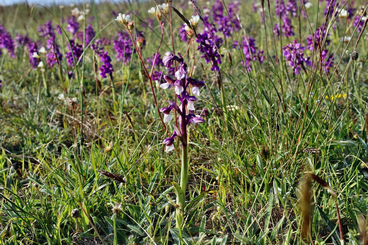 IMG-2016-05-05-00013930p_Bildgr��e �ndern