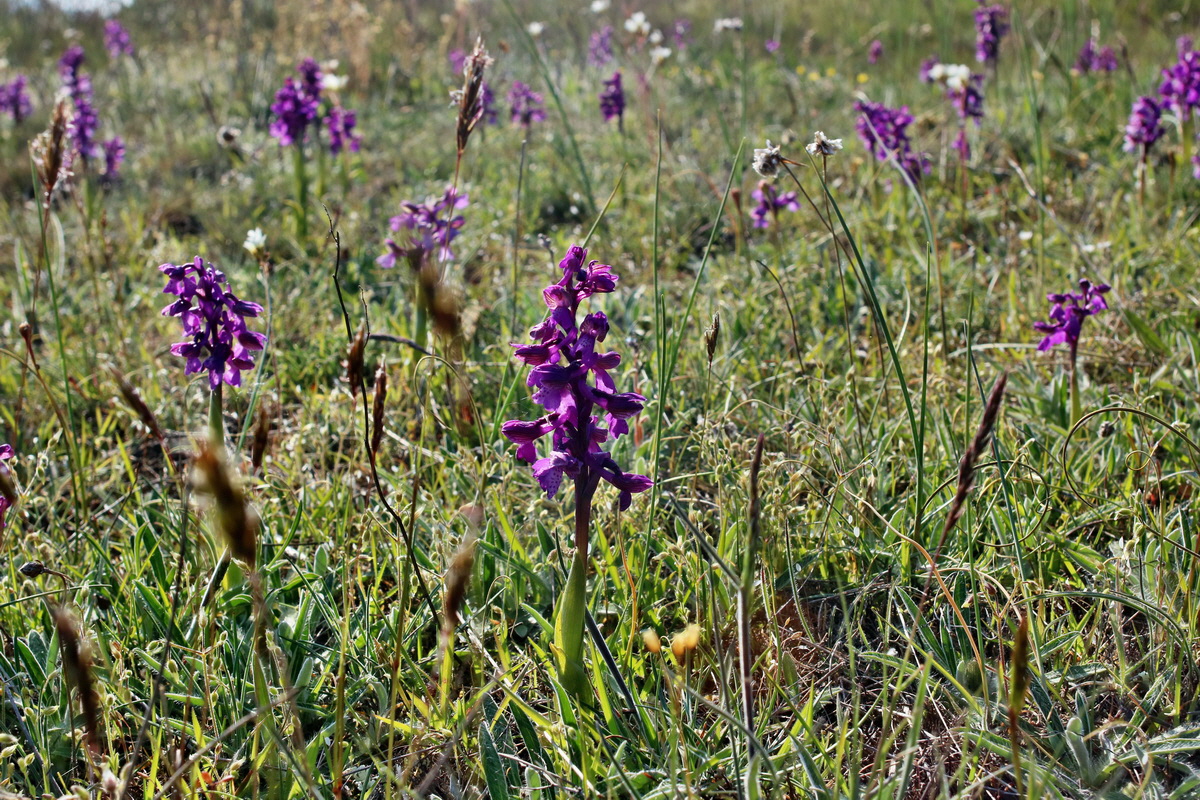 IMG-2016-05-05-00013932p_Bildgr��e �ndern