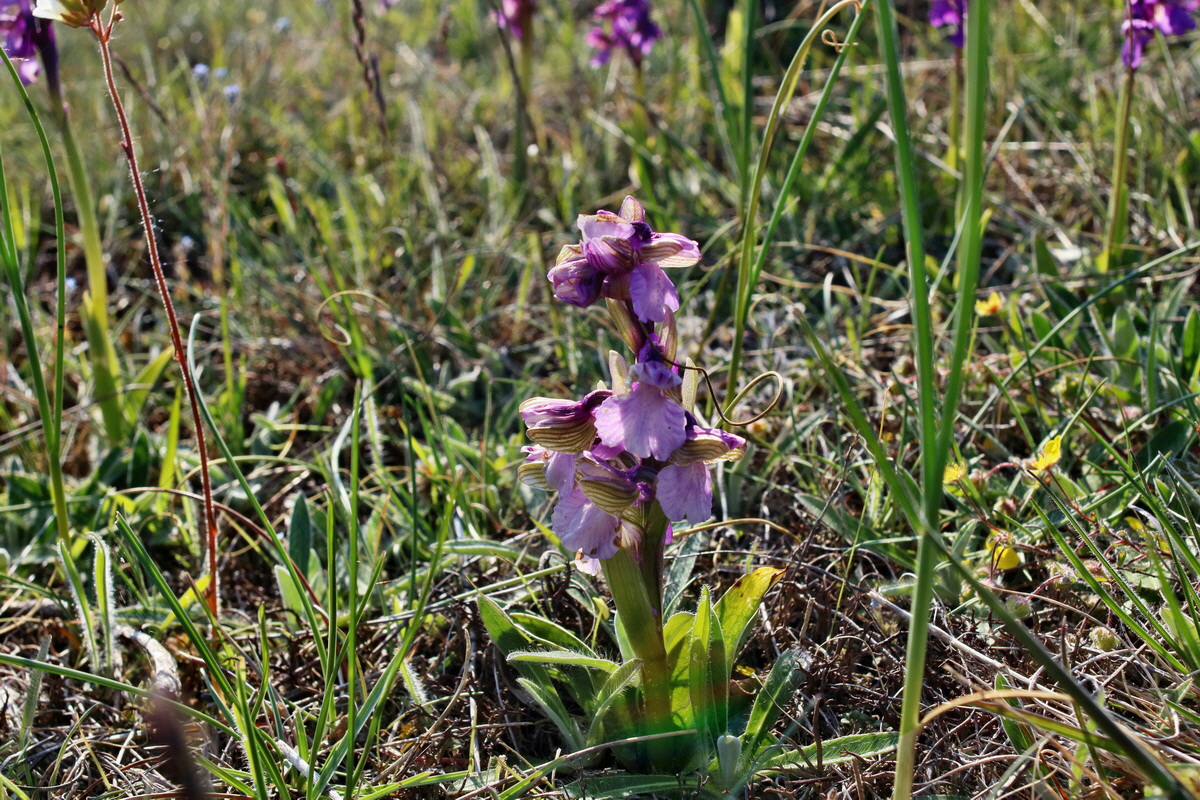 IMG-2016-05-05-00013934p_Bildgr��e �ndern