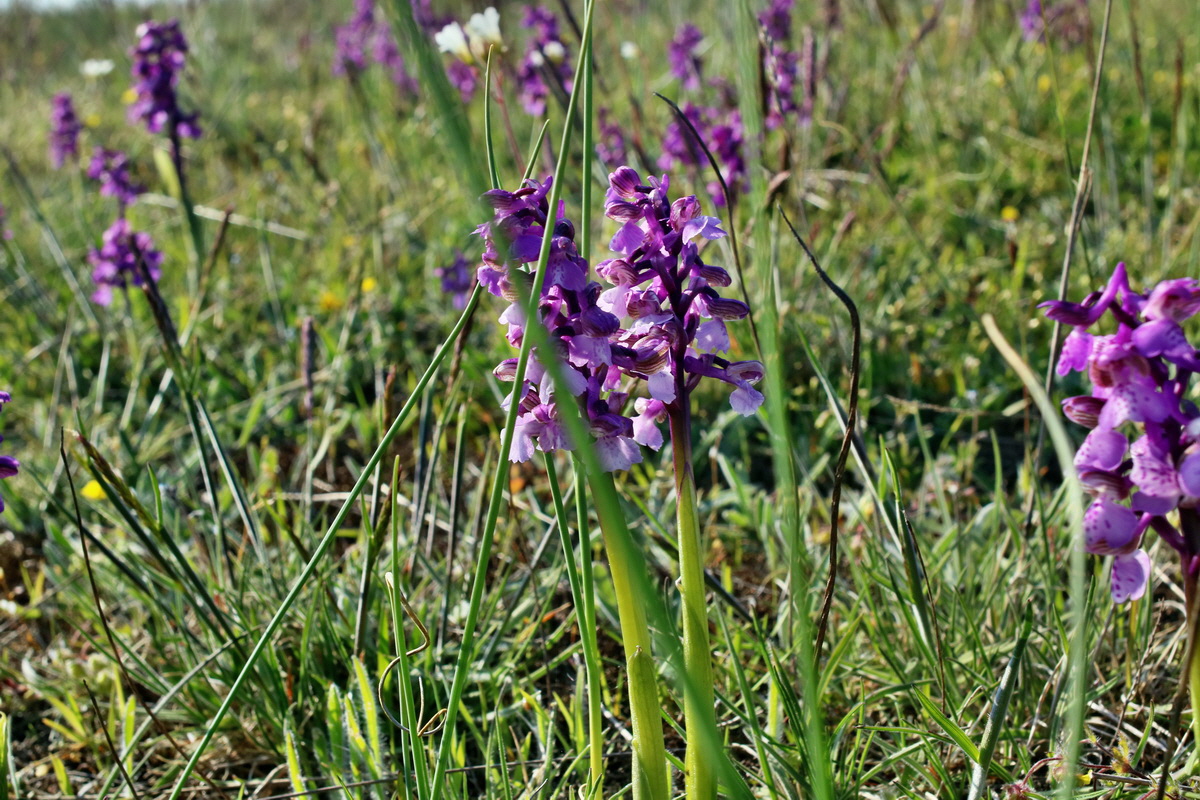 IMG-2016-05-05-00013938p_Bildgr��e �ndern