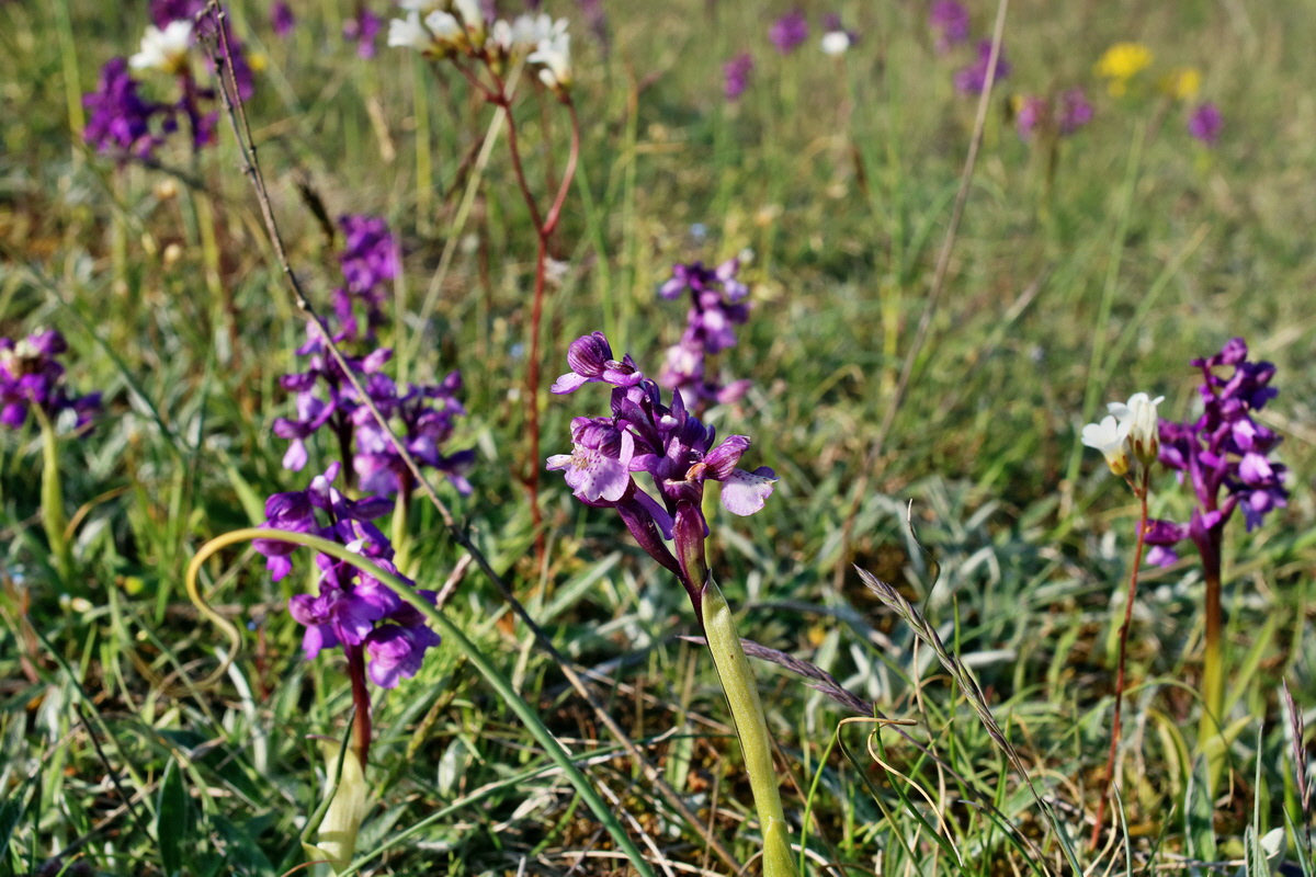 IMG-2016-05-05-00013941p_Bildgr��e �ndern