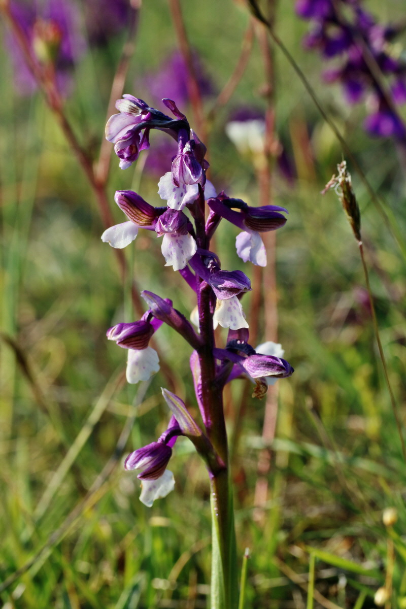 IMG-2016-05-05-00013944p_Bildgr��e �ndern