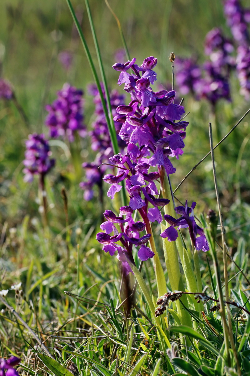 IMG-2016-05-05-00013947p_Bildgr��e �ndern