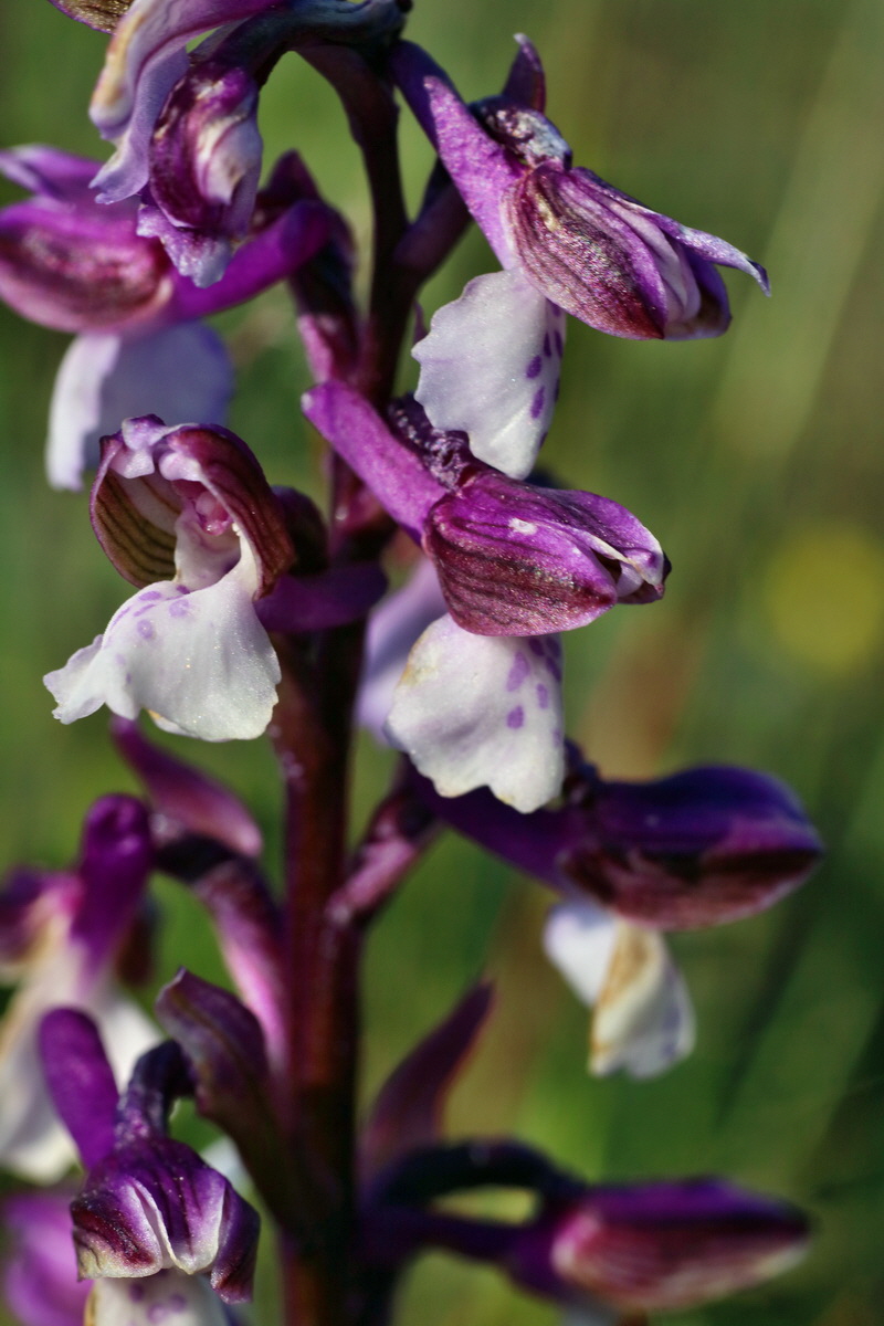 IMG-2016-05-05-00013951p_Bildgr��e �ndern