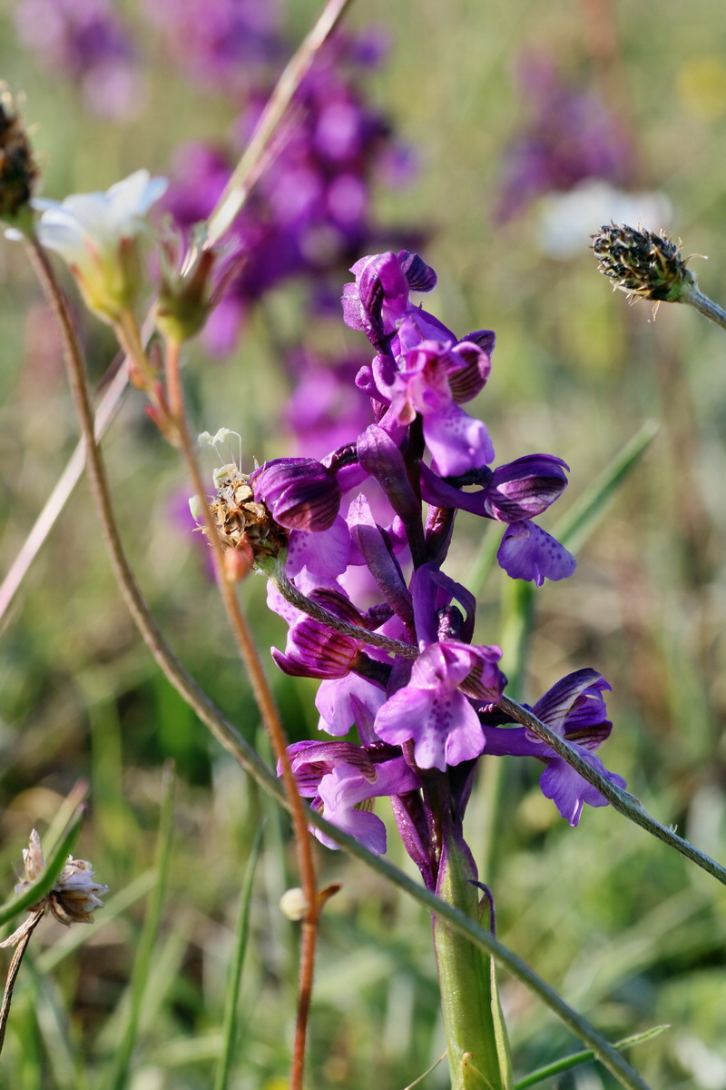 IMG-2016-05-05-00013954p_Bildgr��e �ndern