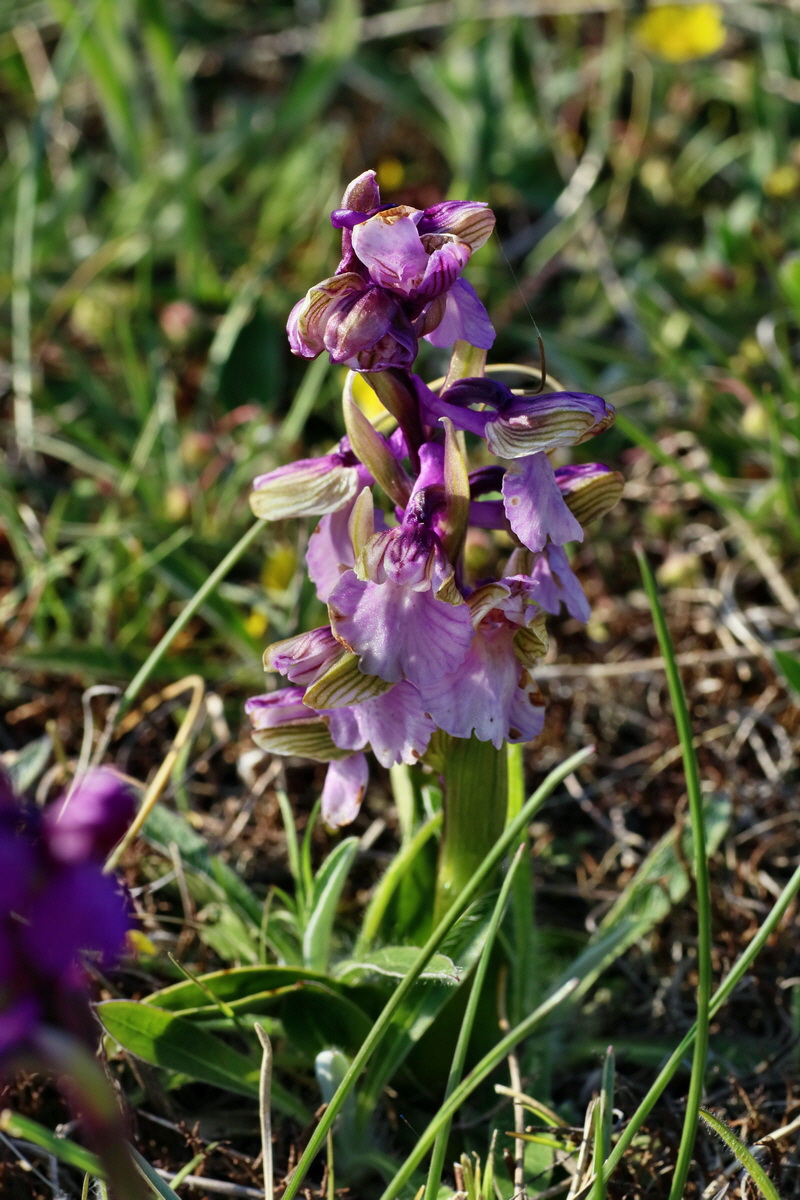 IMG-2016-05-05-00013956p_Bildgr��e �ndern