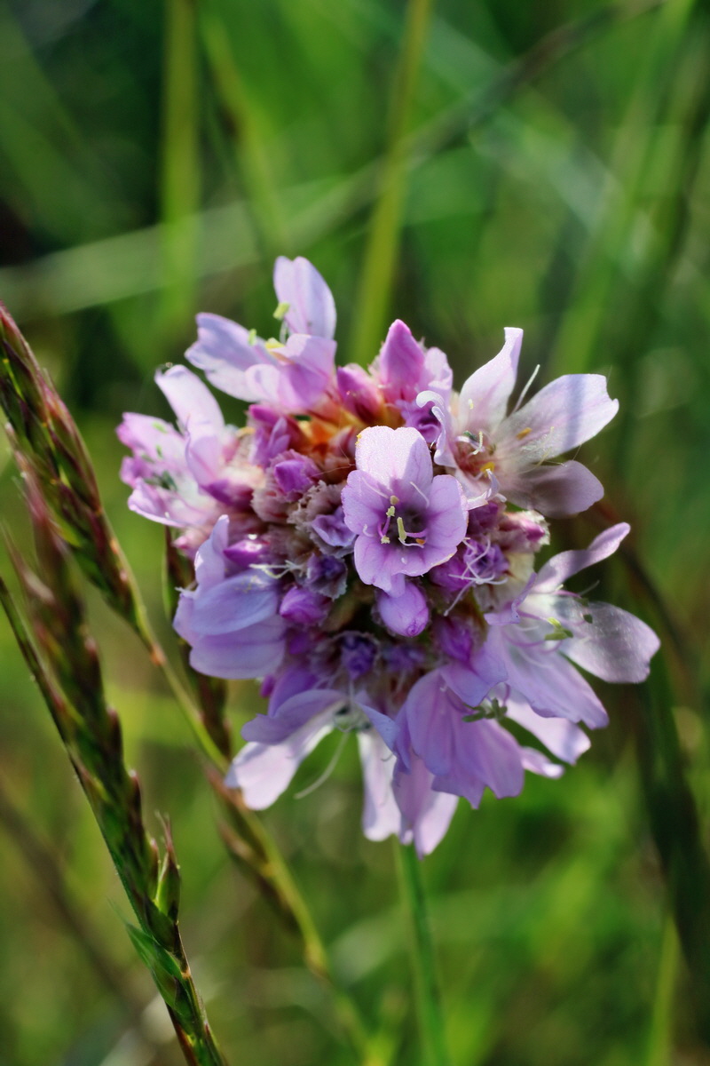 IMG-2016-05-05-00013958p_Bildgr��e �ndern