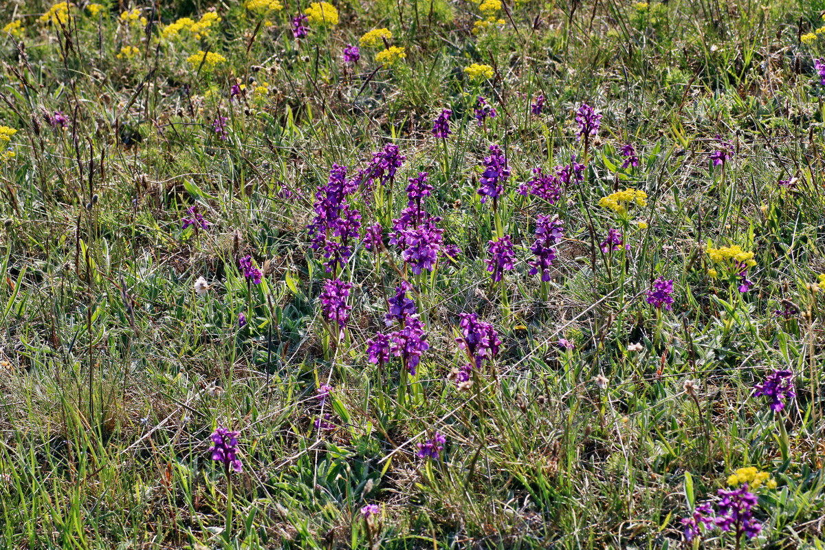 IMG-2016-05-05-00013961p_Bildgr��e �ndern