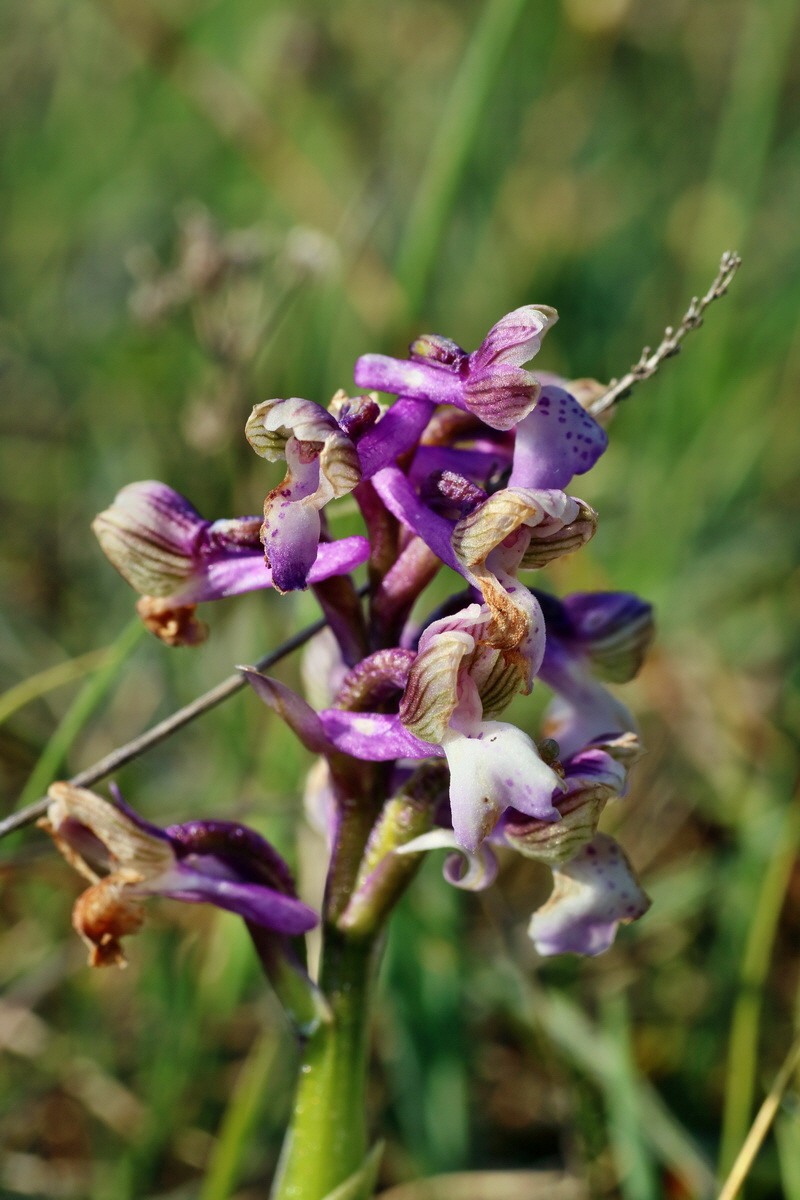 IMG-2016-05-05-00013966p_Bildgr��e �ndern