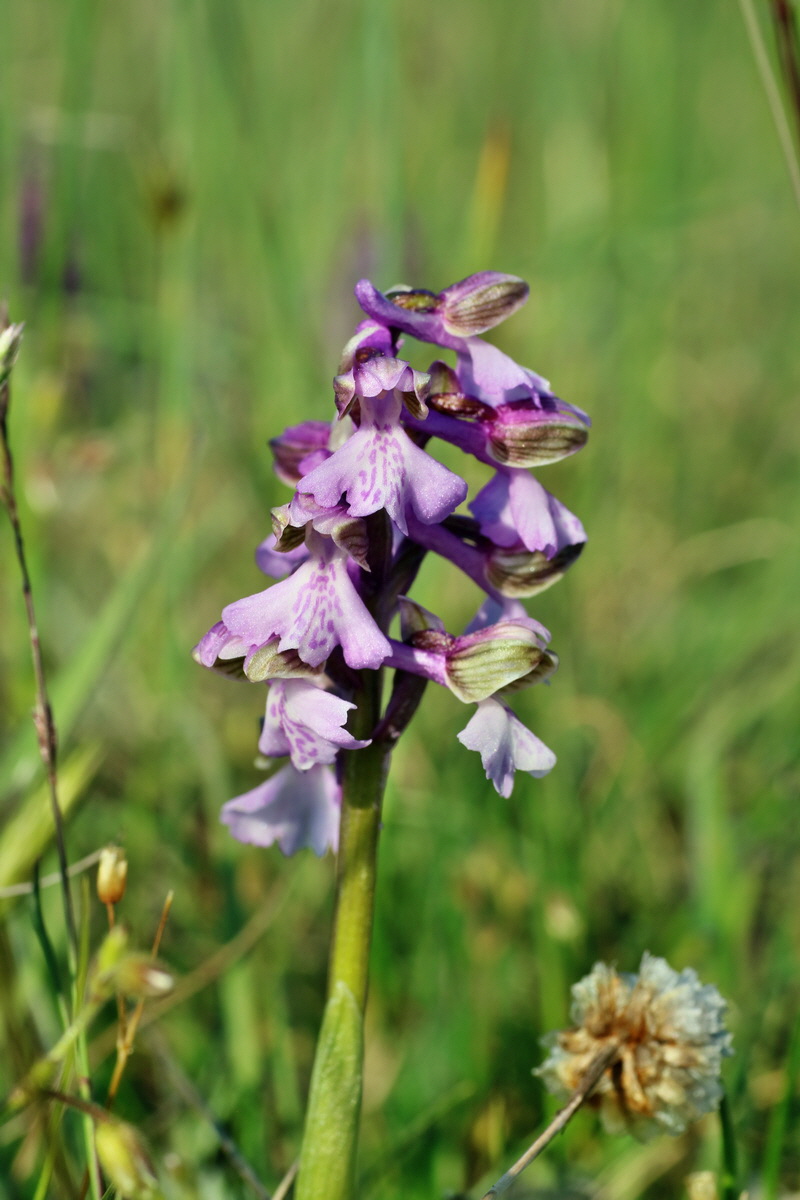 IMG-2016-05-05-00013970p_Bildgr��e �ndern