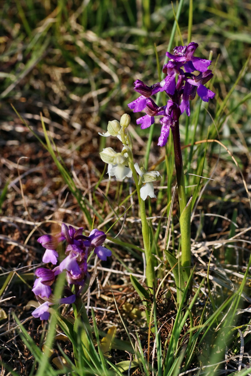 IMG-2016-05-05-00013975p_Bildgr��e �ndern