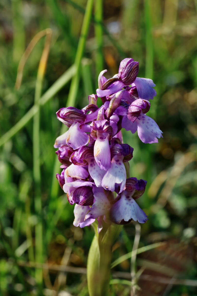 IMG-2016-05-05-00013979p_Bildgr��e �ndern