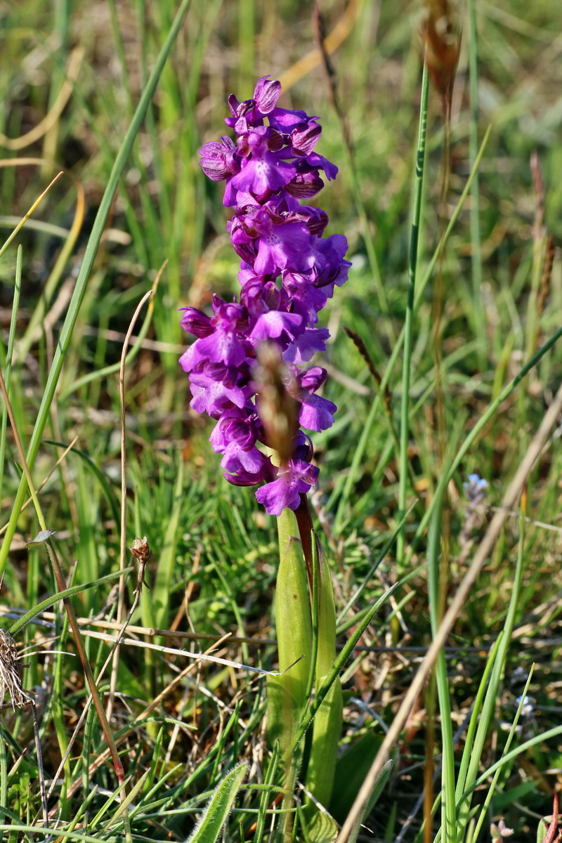 IMG-2016-05-05-00013981p_Bildgr��e �ndern