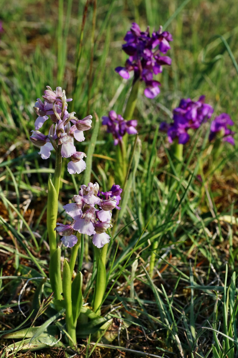 IMG-2016-05-05-00013984p_Bildgr��e �ndern