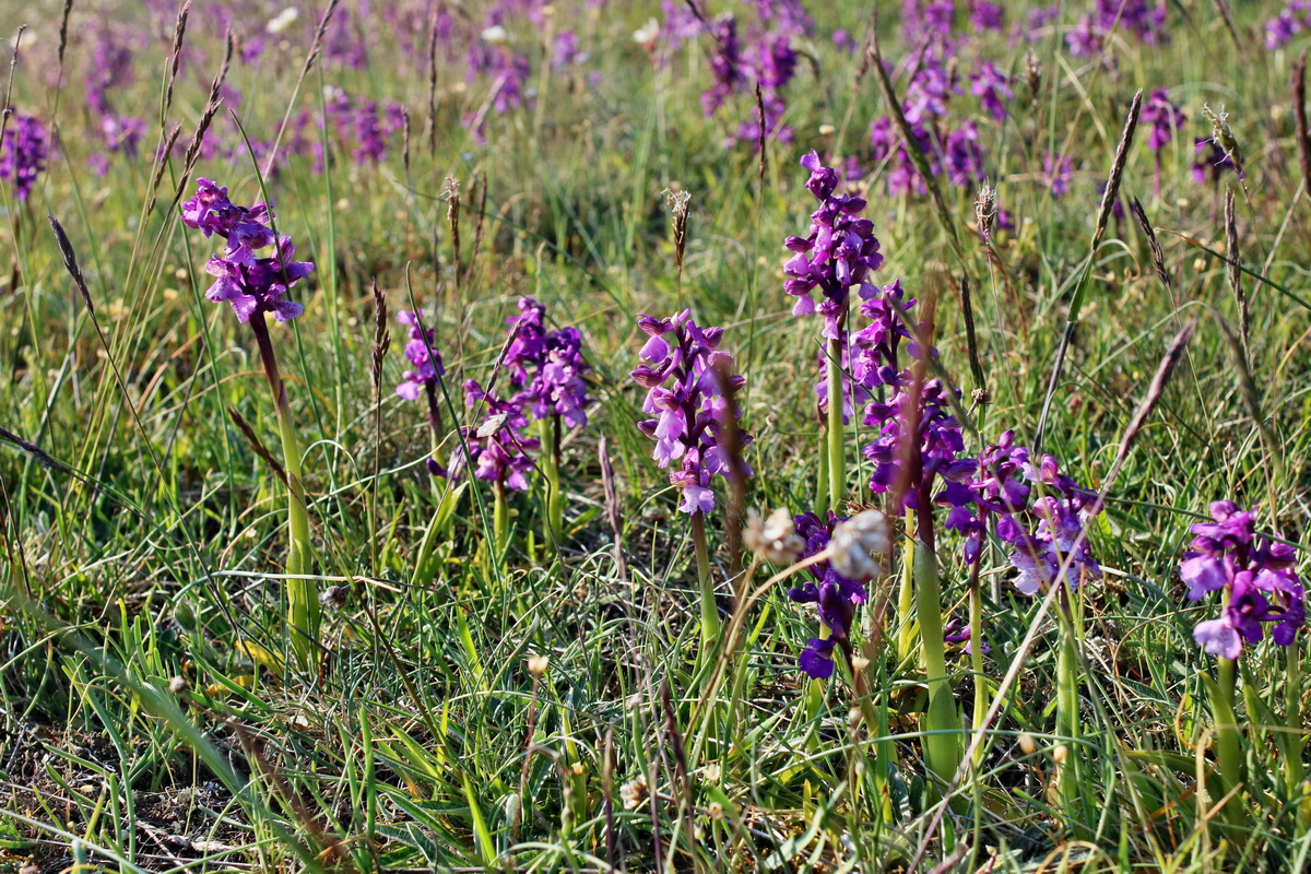 IMG-2016-05-05-00013989p_Bildgr��e �ndern