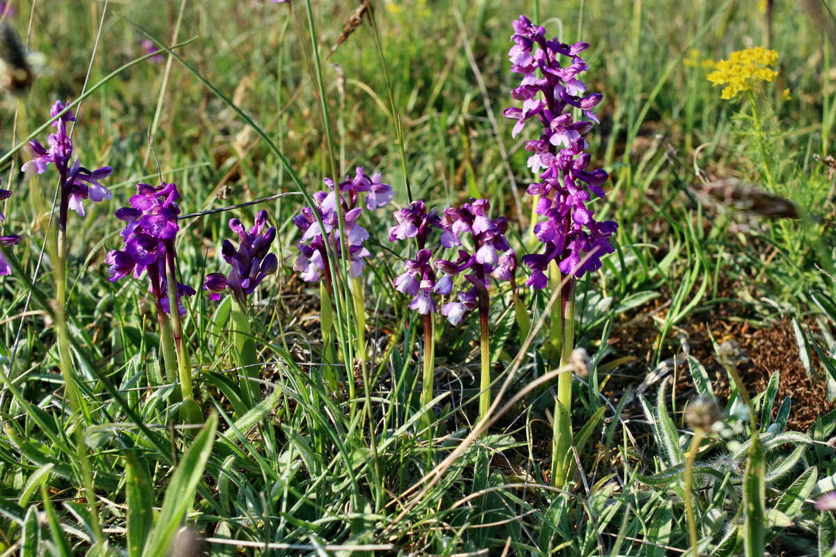 IMG-2016-05-05-00013991p_Bildgr��e �ndern