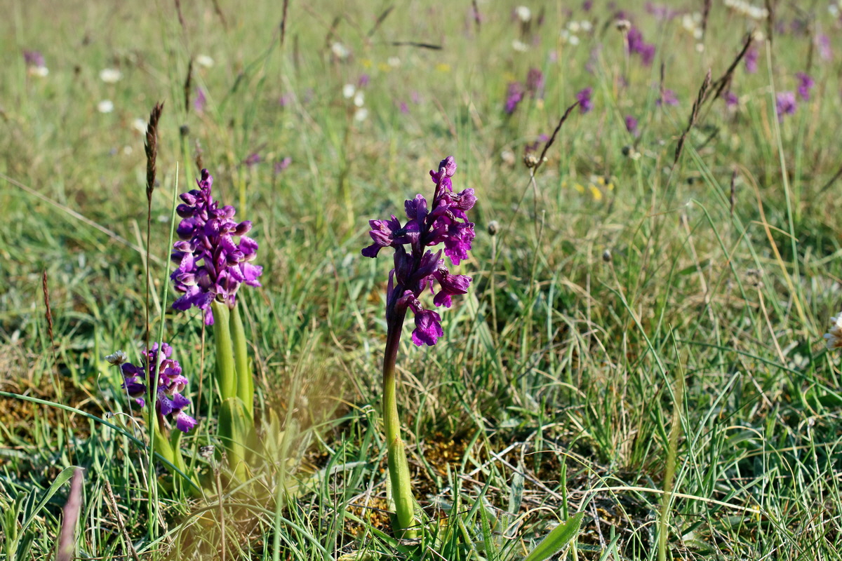 IMG-2016-05-05-00013992p_Bildgr��e �ndern