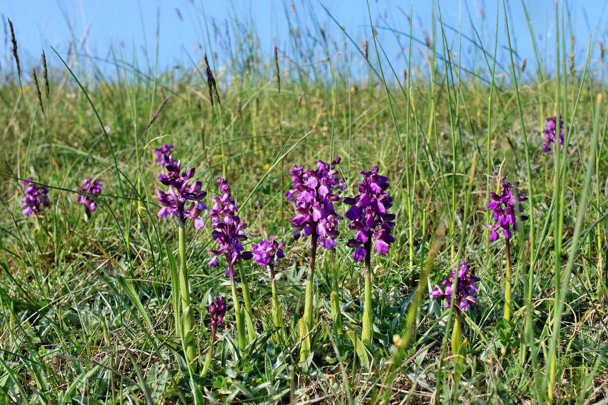 IMG-2016-05-05-00013995p_Bildgr��e �ndern