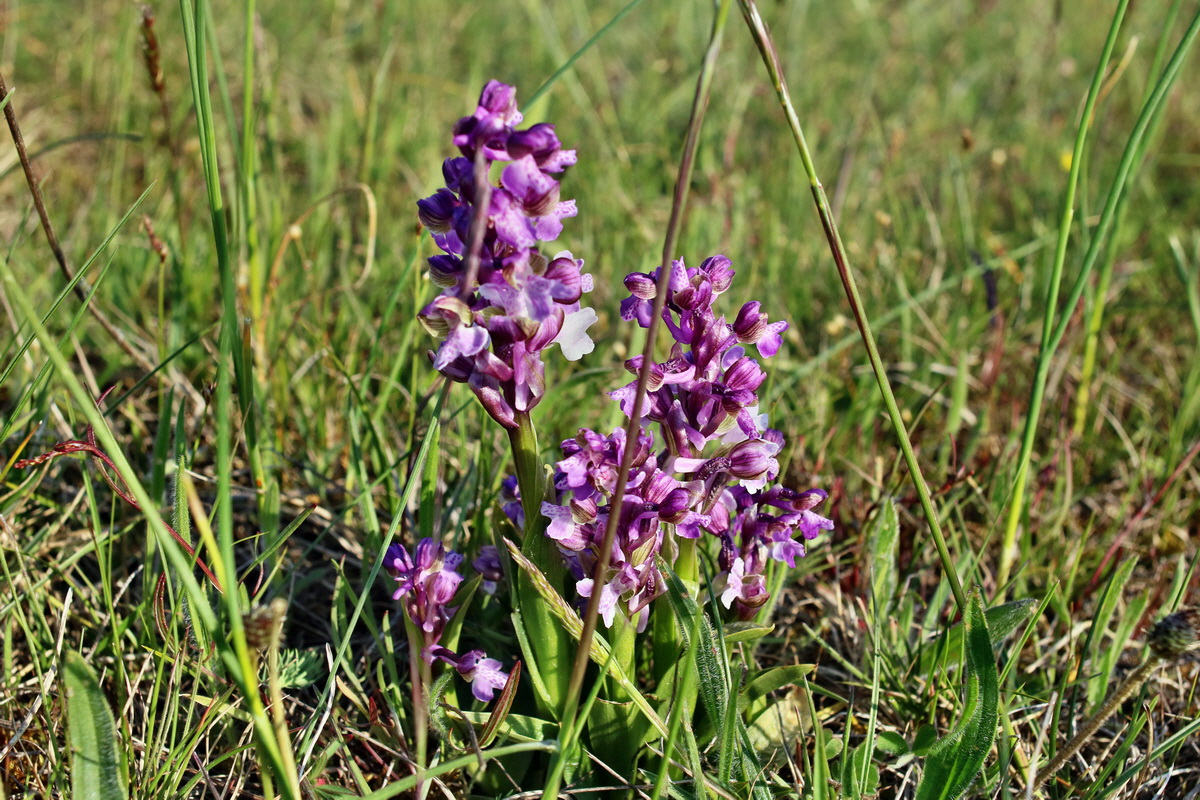 IMG-2016-05-05-00013999p_Bildgr��e �ndern